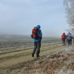 Alb 24 Winter 2014 - Nebel und Raureif