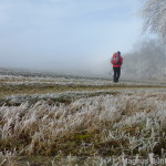 Alb 24 Winter 2014 - Nebel und Raureif